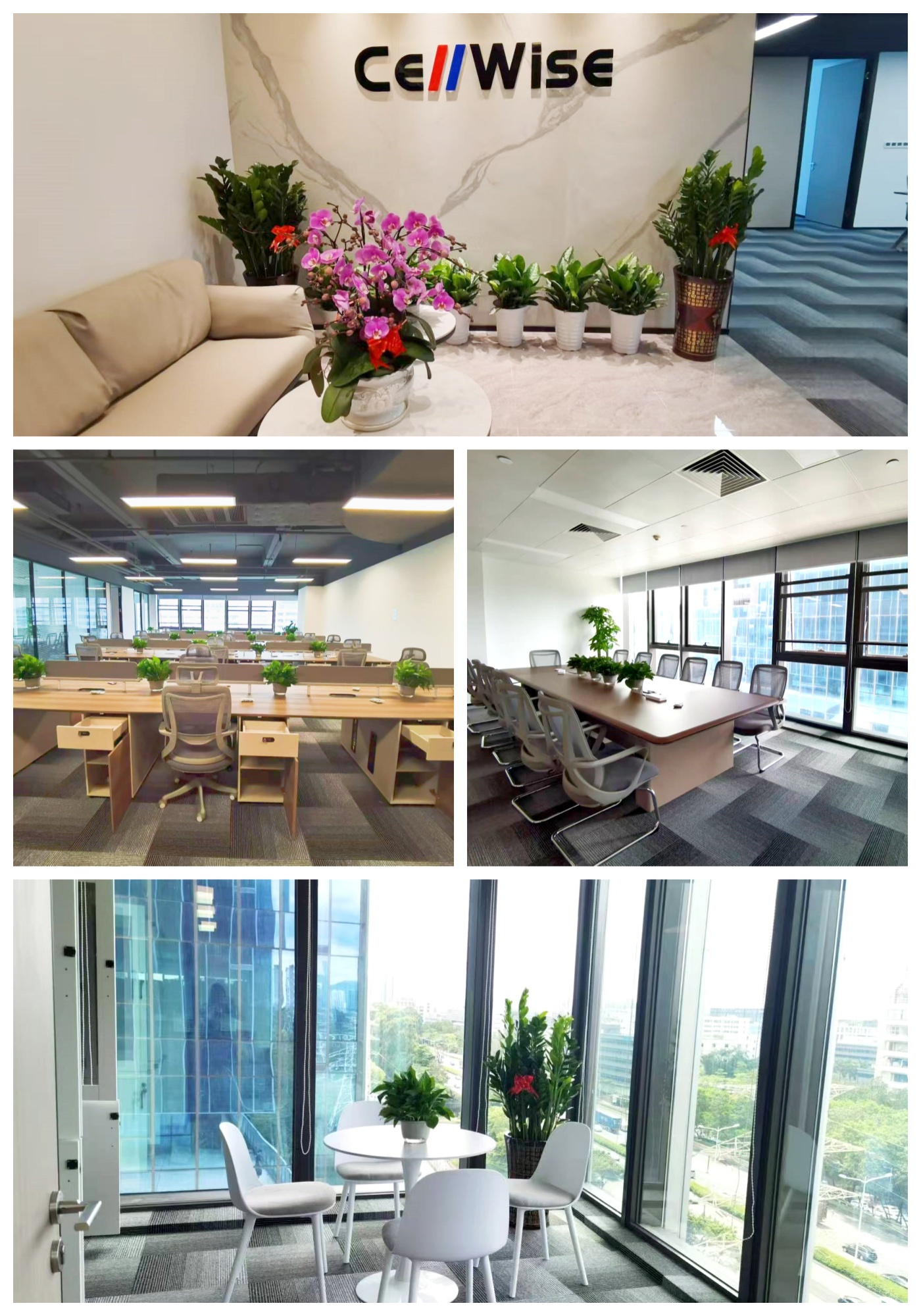 CA88����(�й���) - Ψһ�ٷ���վ